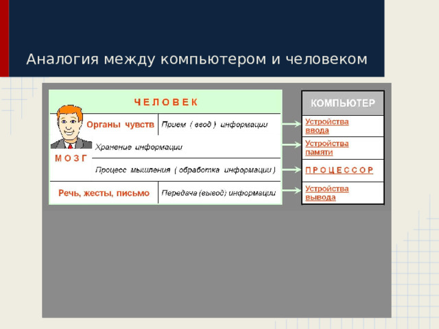 Аналогия между компьютером и человеком Как устройства компьютера обмениваются информацией? Для чего предназначен компьютер? Что храниться в памяти компьютера? 