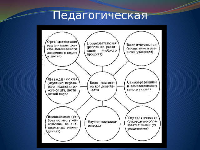 Педагогическая деятельность: 