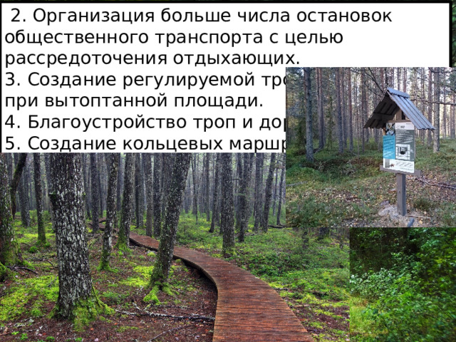   2. Организация больше числа остановок общественного транспорта с целью рассредоточения отдыхающих. 3. Создание регулируемой тропиночной сети при вытоптанной площади. 4. Благоустройство троп и дорог. 5. Создание кольцевых маршрутов. 6. Установка стендов с маршрутами 
