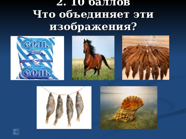 2. 10 баллов  Что объединяет эти изображения?