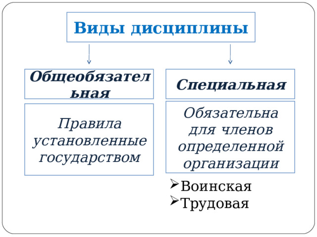 Виды дисциплины Общеобязательная Специальная Обязательна для членов определенной организации Правила установленные государством Воинская Трудовая   