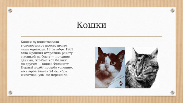 Кошки Кошки путешествовали в околоземное пространство лишь однажды. 18 октября 1963 года Франция отправила ракету с кошкой на борту — по одним данным, это был кот Феликс, по другим — кошка Фелисетт. Первый полёт прошёл успешно, но второй запуск 24 октября животное, увы, не пережило. 