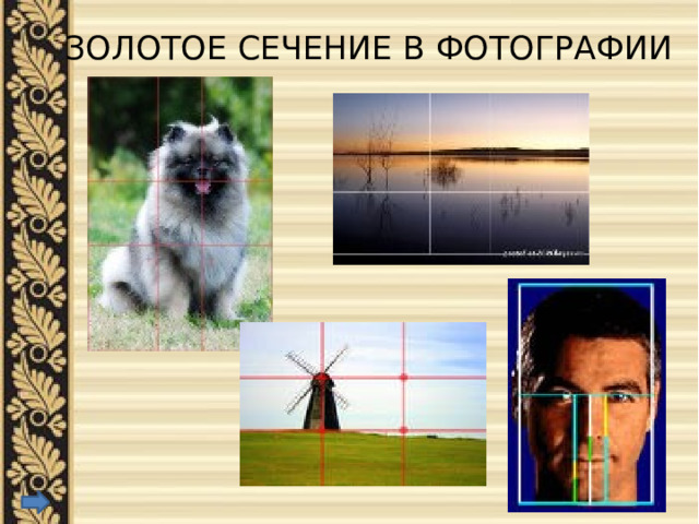ЗОЛОТОЕ СЕЧЕНИЕ В ФОТОГРАФИИ   
