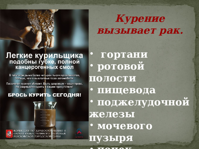 Курение вызывает рак.     гортани  ротовой полости  пищевода  поджелудочной железы  мочевого пузыря  почек. 