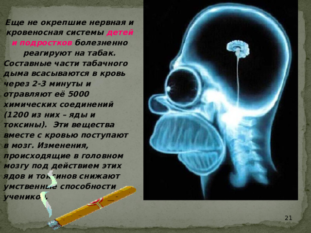 Еще не окрепшие нервная и кровеносная системы детей и подростков болезненно реагируют на табак. Составные части табачного дыма всасываются в кровь через 2-3 минуты и отравляют её 5000 химических соединений (1200 из них – яды и токсины). Эти вещества вместе с кровью поступают в мозг. Изменения, происходящие в головном мозгу под действием этих ядов и токсинов снижают умственные способности учеников.    