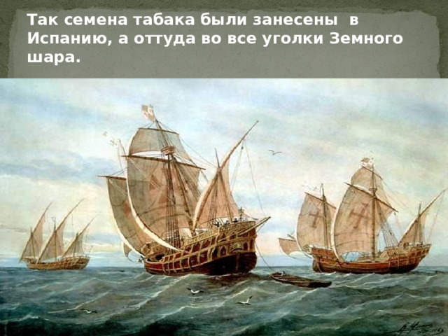 Так семена табака были занесены в Испанию, а оттуда во все уголки Земного шара.  