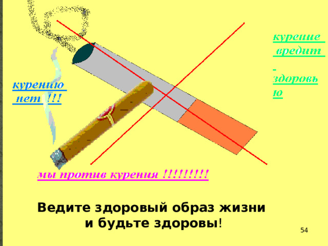 Полякова и Терентьева Ведите здоровый образ жизни и будьте здоровы !    