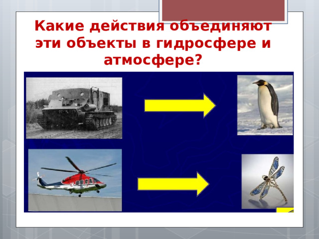 Какие действия объединяют эти объекты в гидросфере и атмосфере? 