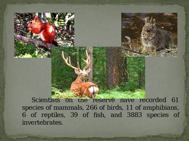 Scientists on the reserve have recorded 61 species of mammals, 266 of birds, 11 of amphibians, 6 of reptiles, 39 of fish, and 3883 species of invertebrates. 