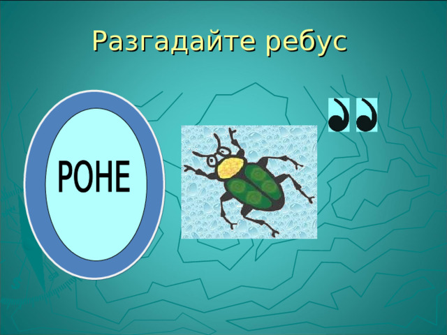 Разгадайте ребус 