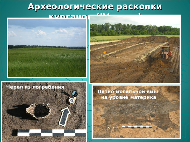 Археологические раскопки курганов  ( IV в.н.э) Череп из погребения Пятно могильной ямы на уровне материка 