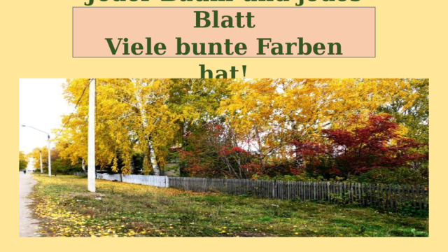 Jeder Baum und jedes Blatt  Viele bunte Farben hat! 