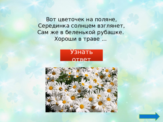 Вот цветочек на поляне,  Серединка солнцем взглянет, Сам же в беленькой рубашке. Хороши в траве ... Узнать ответ 