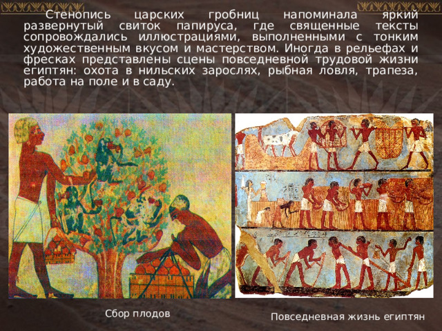 Стенопись царских гробниц напоминала яркий развернутый свиток папируса, где священные тексты сопровождались иллюстрациями, выполненными с тонким художественным вкусом и мастерством. Иногда в рельефах и фресках представлены сцены повседневной трудовой жизни египтян: охота в нильских зарослях, рыбная ловля, трапеза, работа на поле и в саду. Сбор плодов Повседневная жизнь египтян 