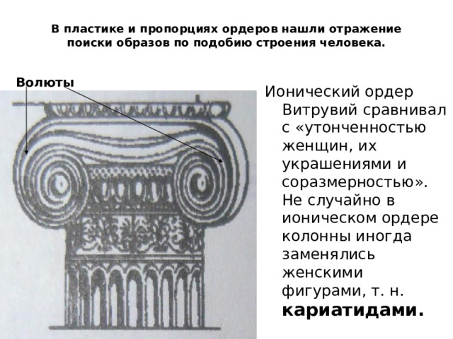 В пластике и пропорциях ордеров нашли отражение поиски образов по подобию строения человека.   Волюты Ионический ордер Витрувий сравнивал с «утонченностью женщин, их украшениями и соразмерностью». Не случайно в ионическом ордере колонны иногда заменялись женскими фигурами, т. н. кариатидами. 
