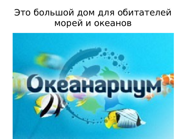 Это большой дом для обитателей морей и океанов 