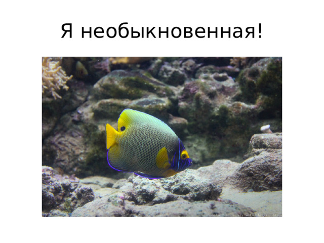 Я необыкновенная! 