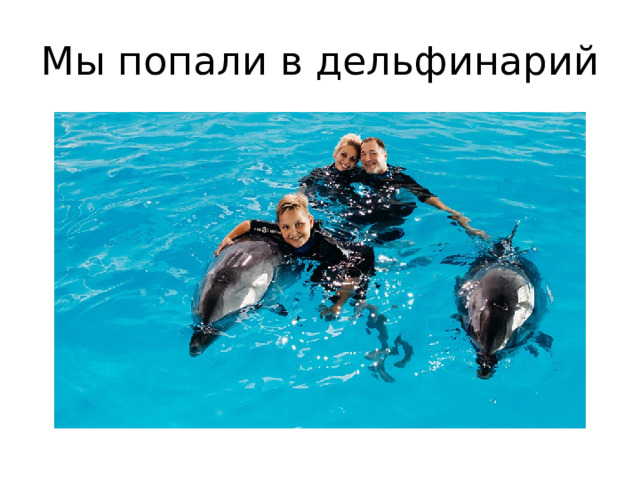 Мы попали в дельфинарий 