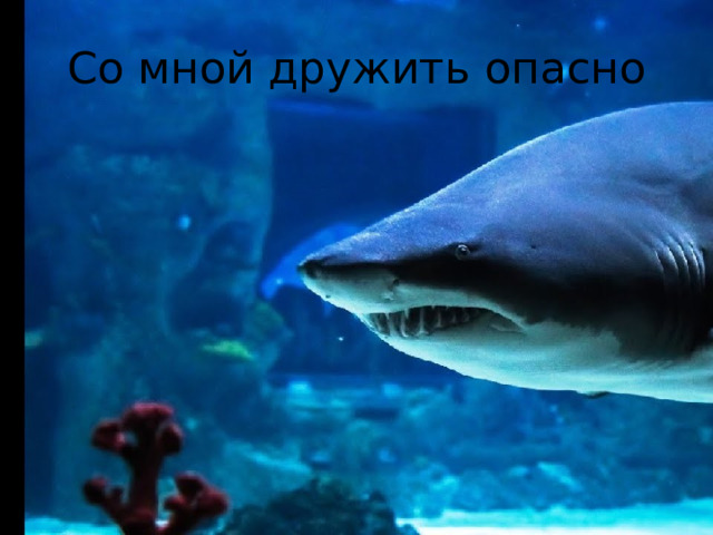 Со мной дружить опасно 