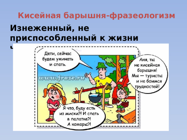 Кисейная барышня-фразеологизм Изнеженный, не приспособленный к жизни человек. 