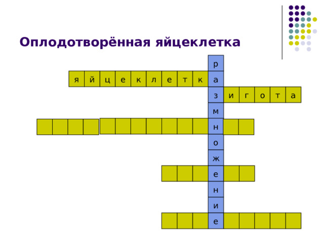 Оплодотворённая яйцеклетка р а я й ц е к л е т к о г и т з а м н о ж е н и е 