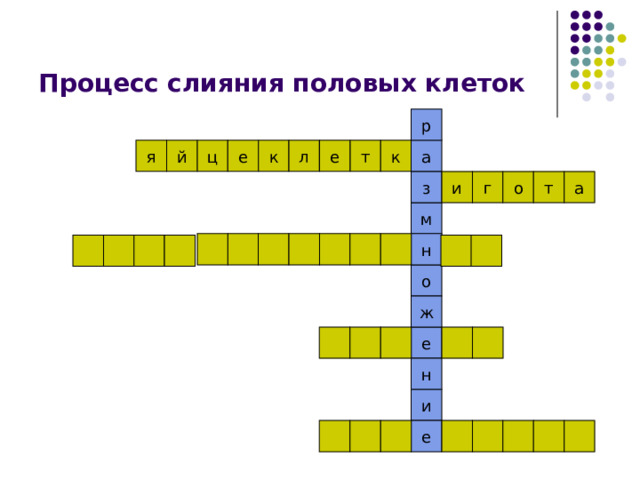 Процесс слияния половых клеток р а я й ц е к л е т к о г и т з а м н о ж е н и е 