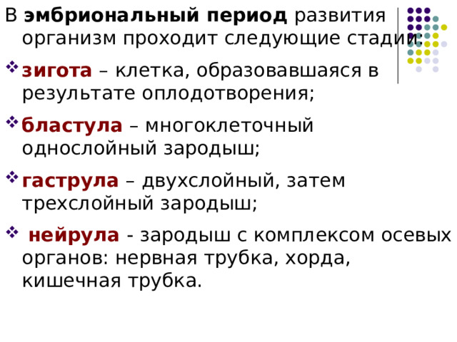 В эмбриональный период развития организм проходит следующие стадии: зигота – клетка, образовавшаяся в результате оплодотворения; бластула – многоклеточный однослойный зародыш; гаструла – двухслойный, затем трехслойный зародыш;  нейрула  - зародыш с комплексом осевых органов: нервная трубка, хорда, кишечная трубка. 