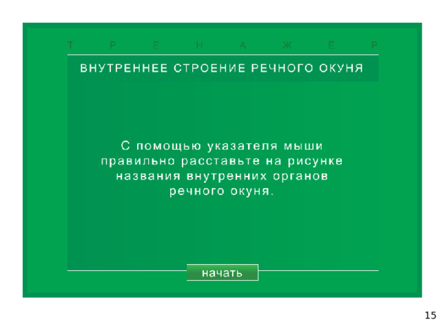 15 