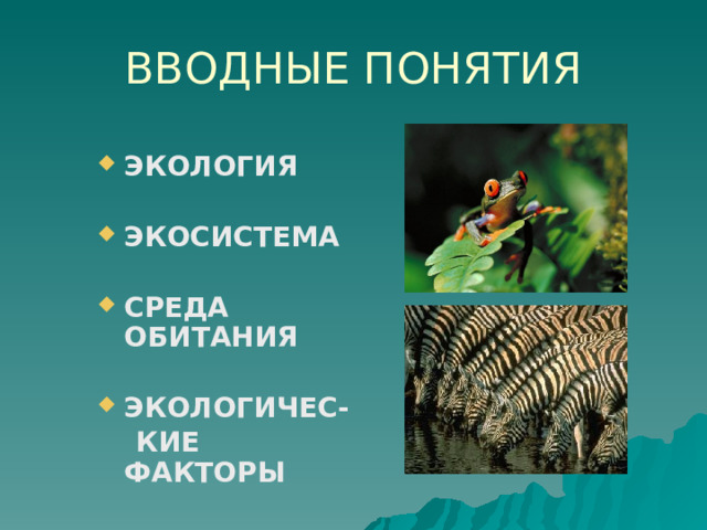 ВВОДНЫЕ ПОНЯТИЯ ЭКОЛОГИЯ  ЭКОСИСТЕМА  СРЕДА ОБИТАНИЯ  ЭКОЛОГИЧЕС-  КИЕ ФАКТОРЫ 