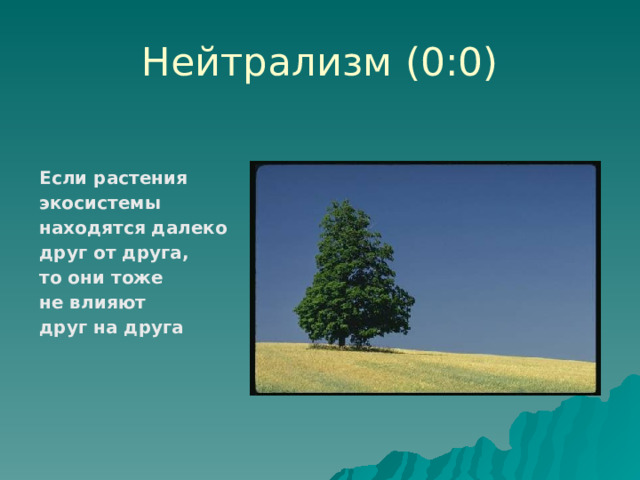 Нейтрализм (0:0) Если растения экосистемы находятся далеко друг от друга, то они тоже не влияют друг на друга 