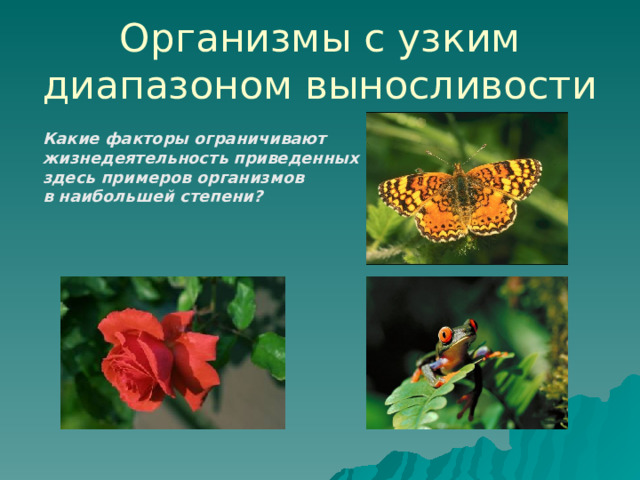 Организмы с узким диапазоном выносливости Какие факторы ограничивают жизнедеятельность приведенных здесь примеров организмов в наибольшей степени? 