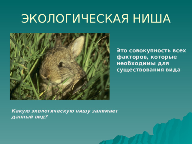 ЭКОЛОГИЧЕСКАЯ НИША Это совокупность всех факторов, которые необходимы для существования вида Какую экологическую нишу занимает данный вид? 