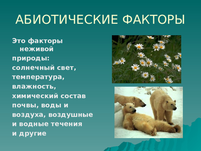 АБИОТИЧЕСКИЕ ФАКТОРЫ Это факторы неживой природы: солнечный свет, температура, влажность, химический состав почвы, воды и воздуха, воздушные и водные течения и другие  