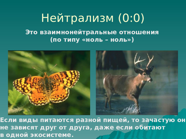 Нейтрализм (0:0) Это взаимнонейтральные отношения (по типу «ноль – ноль») Если виды питаются разной пищей, то зачастую они не зависят друг от друга, даже если обитают в одной экосистеме. 