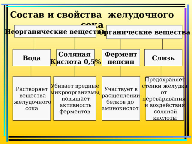 Состав и свойства желудочного сока Органические вещества Неорганические вещества Слизь Фермент пепсин Соляная Кислота 0,5% Вода Участвует в  расщеплении белков до аминокислот  Предохраняет  стенки желудка от переваривания и воздействия  соляной  кислоты  Убивает вредные Растворяет  вещества  желудочного  сока  микроорганизмы,  повышает  активность  ферментов  