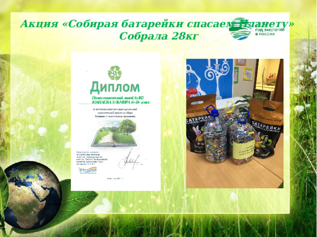 Акция «Собирая батарейки спасаем Планету»  Собрала 28кг 