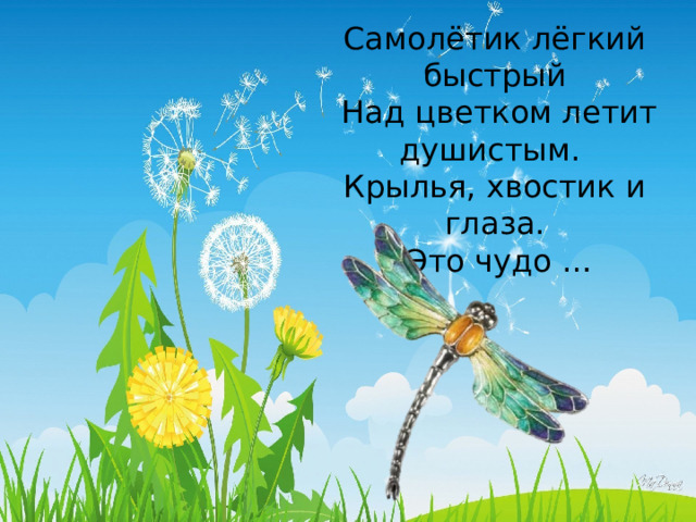 Самолётик лёгкий быстрый  Над цветком летит душистым. Крылья, хвостик и глаза.  Это чудо …    