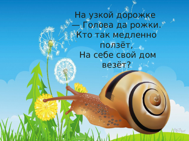 На узкой дорожке — Голова да рожки. Кто так медленно ползёт,  На себе свой дом везёт?    