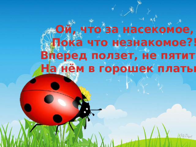 Ой, что за насекомое, Пока что незнакомое?! Вперед ползет, не пятится,  На нём в горошек платьице 
