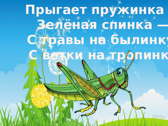 Прыгает пружинка — Зелёная спинка — С травы на былинку, С ветки на тропинку. 