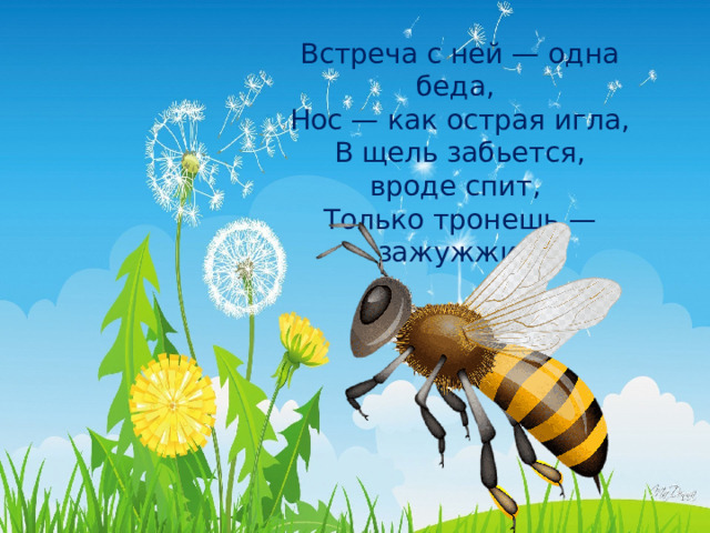 Встреча с ней — одна беда, Нос — как острая игла, В щель забьется, вроде спит, Только тронешь — зажужжит.    
