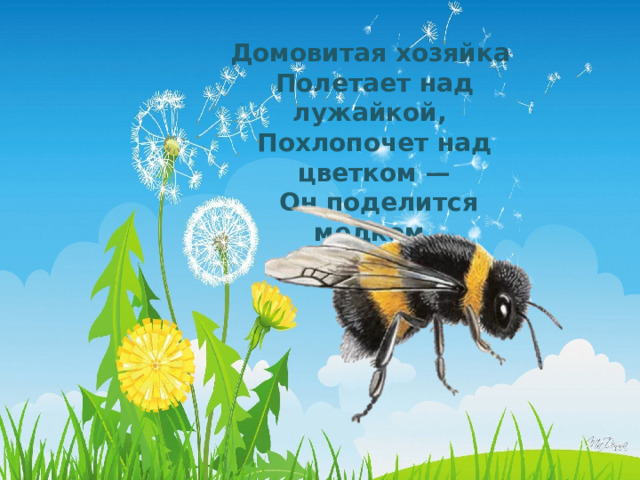 Домовитая хозяйка Полетает над лужайкой, Похлопочет над цветком —  Он поделится медком.    