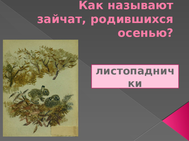 Как называют зайчат, родившихся осенью? листопаднички 