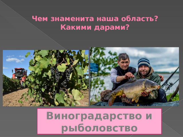  Чем знаменита наша область? Какими дарами?   Виноградарство и рыболовство 