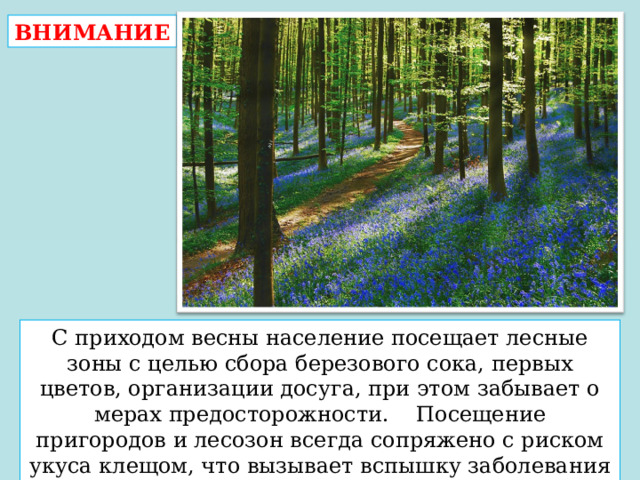 ВНИМАНИЕ С приходом весны население посещает лесные зоны с целью сбора березового сока, первых цветов, организации досуга, при этом забывает о мерах предосторожности. Посещение пригородов и лесозон всегда сопряжено с риском укуса клещом, что вызывает вспышку заболевания клещевым энцефалитом. 