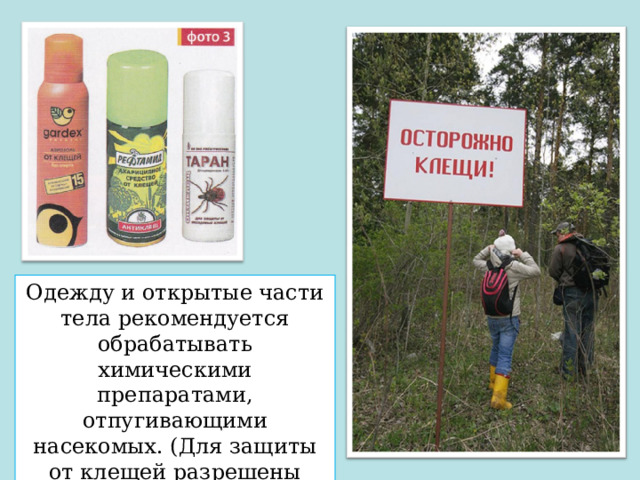 Одежду и открытые части тела рекомендуется обрабатывать химическими препаратами, отпугивающими насекомых. (Для защиты от клещей разрешены средства: «Гал-рэт», «Акрозоль», «Вибан».) 