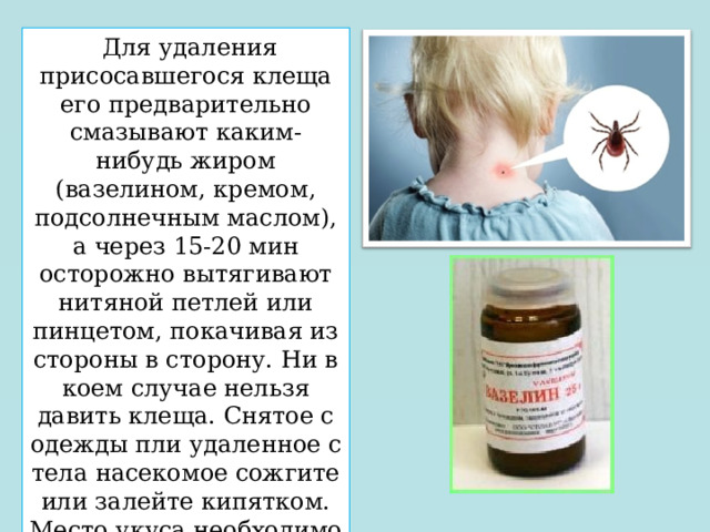   Для удаления присосавшегося клеща его предварительно смазывают каким-нибудь жиром (вазелином, кремом, подсолнечным маслом), а через 15-20 мин осторожно вытягивают нитяной петлей или пинцетом, покачивая из стороны в сторону. Ни в коем случае нельзя давить клеща. Снятое с одежды пли удаленное с тела насекомое сожгите или залейте кипятком. Место укуса необходимо обработать йодом или спиртом и тщательно вымыть руки. 