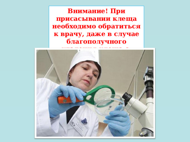 Внимание! При присасывании клеща необходимо обратиться к врачу, даже в случае благополучного удаления клеща с  тела!  