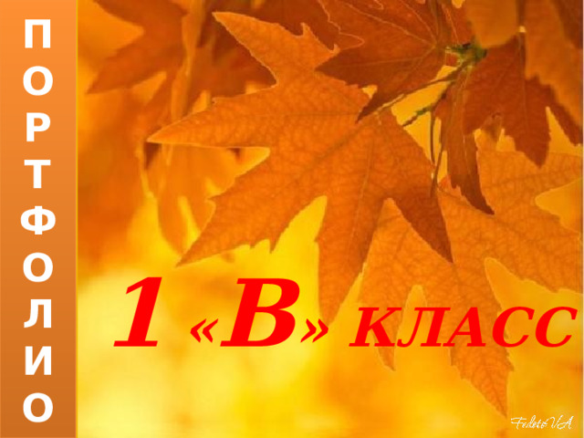 П  О  Р  Т  Ф  О  Л  И  О 1  « В » КЛАСС    