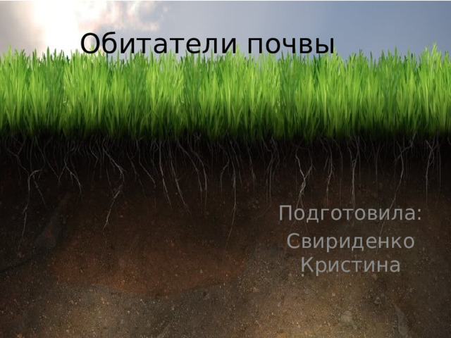 Обитатели почвы Подготовила: Свириденко Кристина 